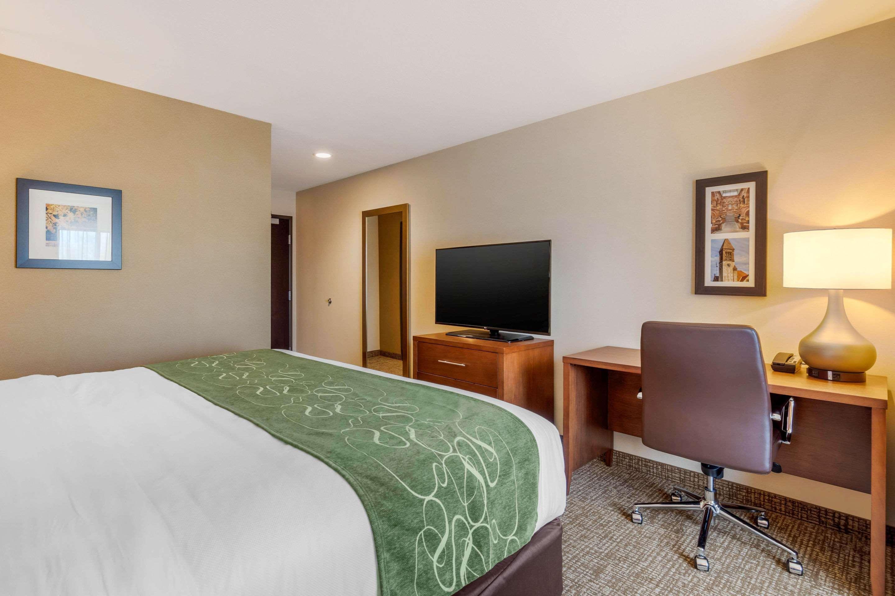 Comfort Inn & Suites Schenectady - Scotia Extérieur photo