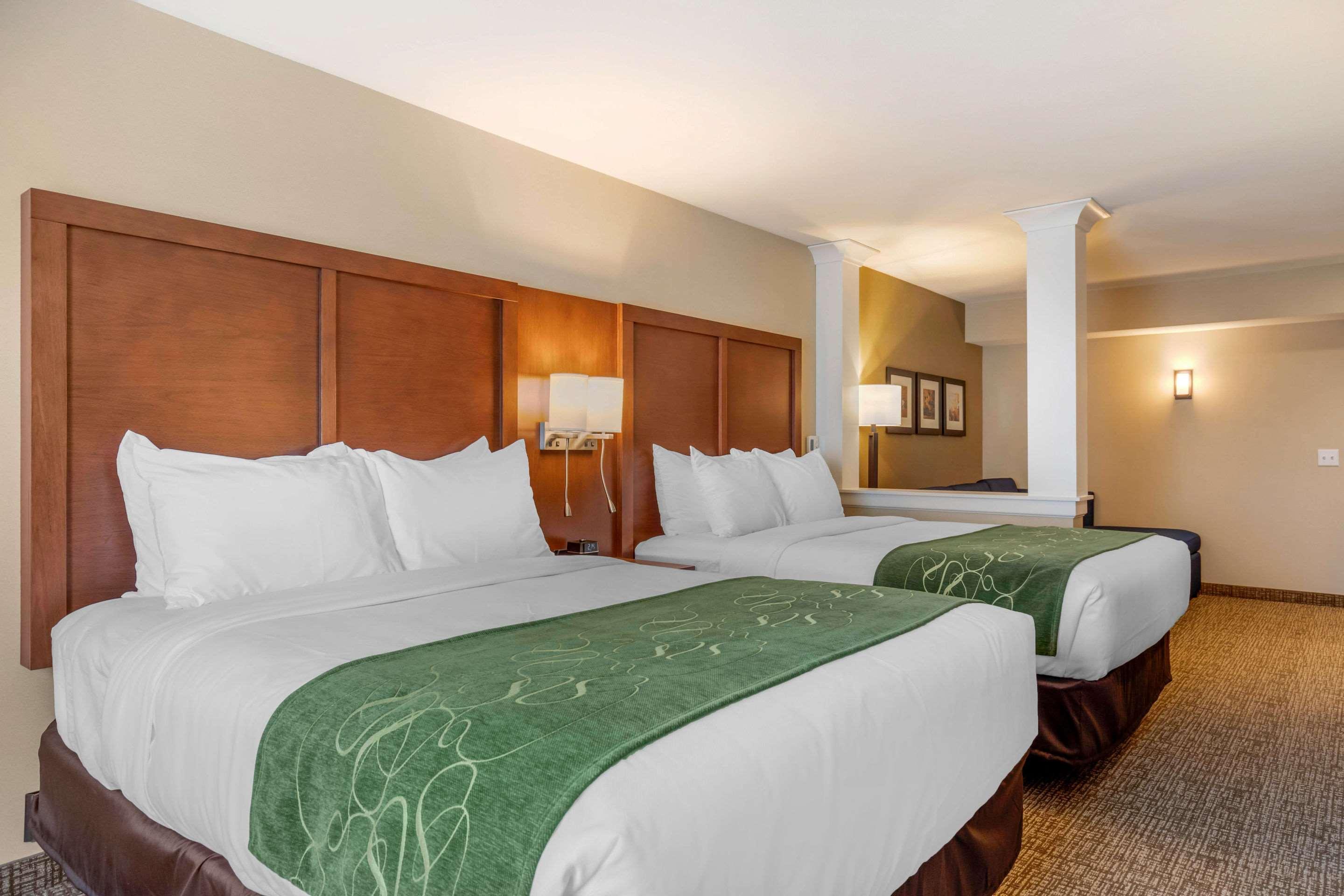 Comfort Inn & Suites Schenectady - Scotia Extérieur photo