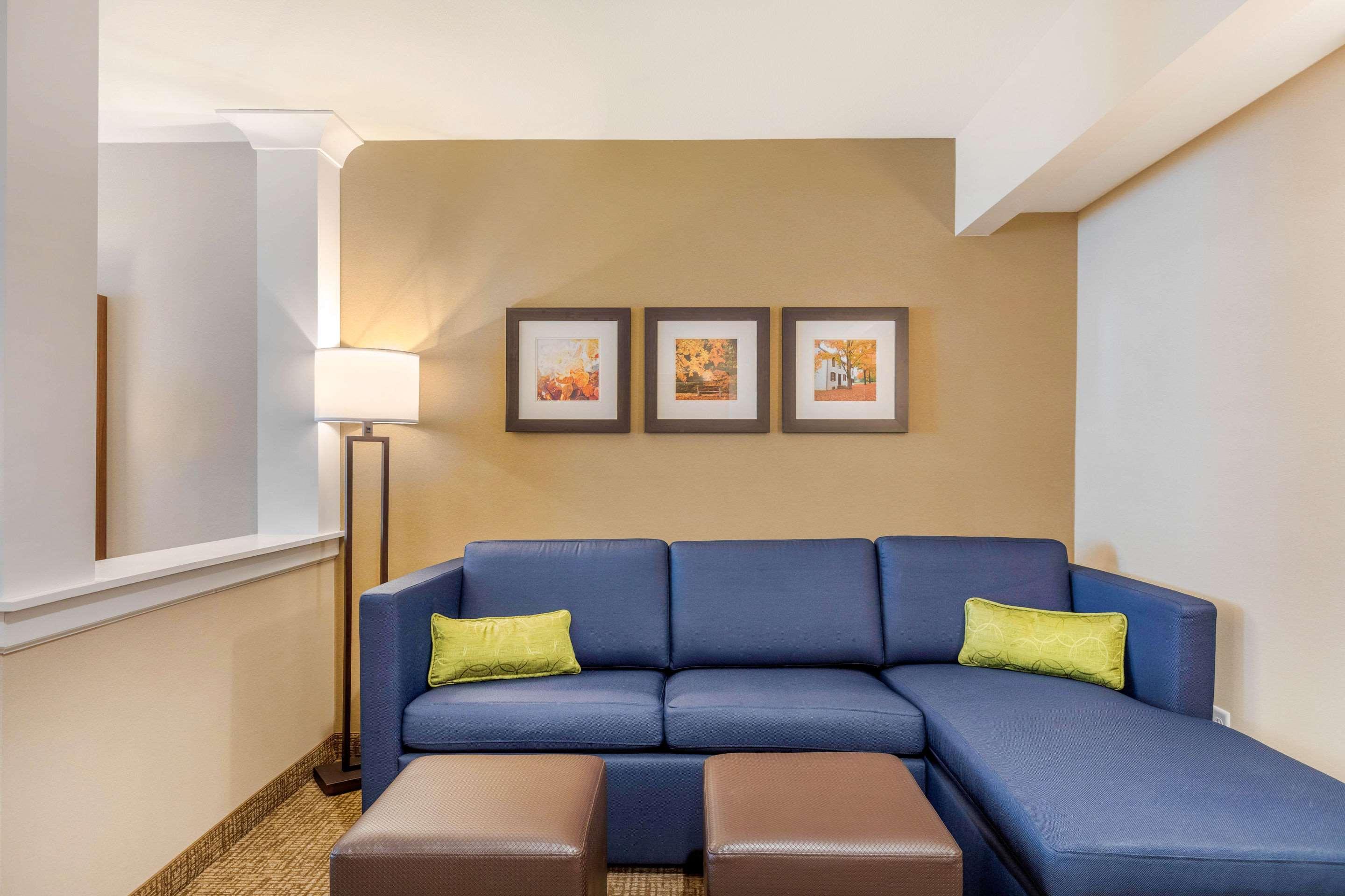 Comfort Inn & Suites Schenectady - Scotia Extérieur photo