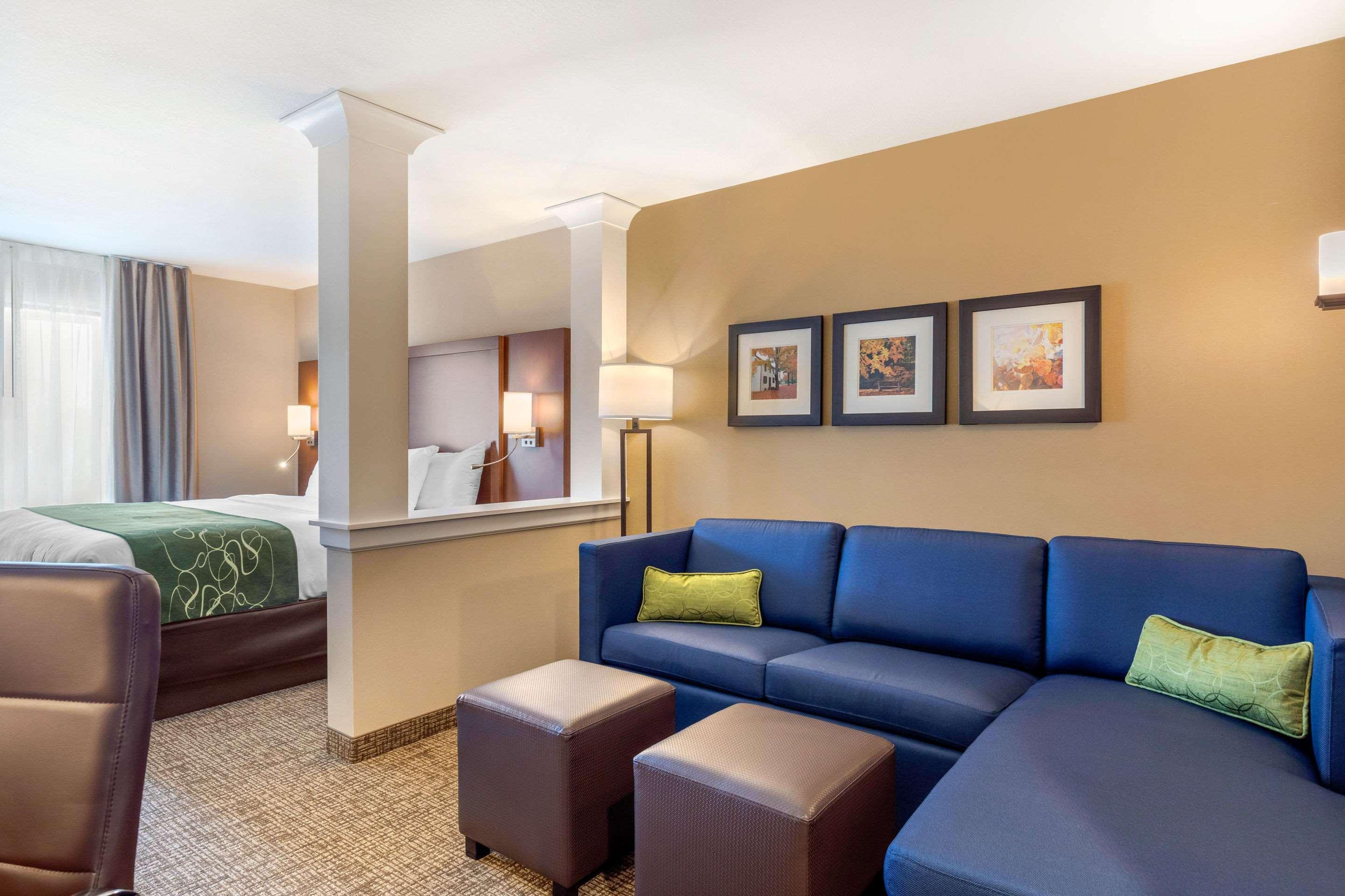 Comfort Inn & Suites Schenectady - Scotia Extérieur photo