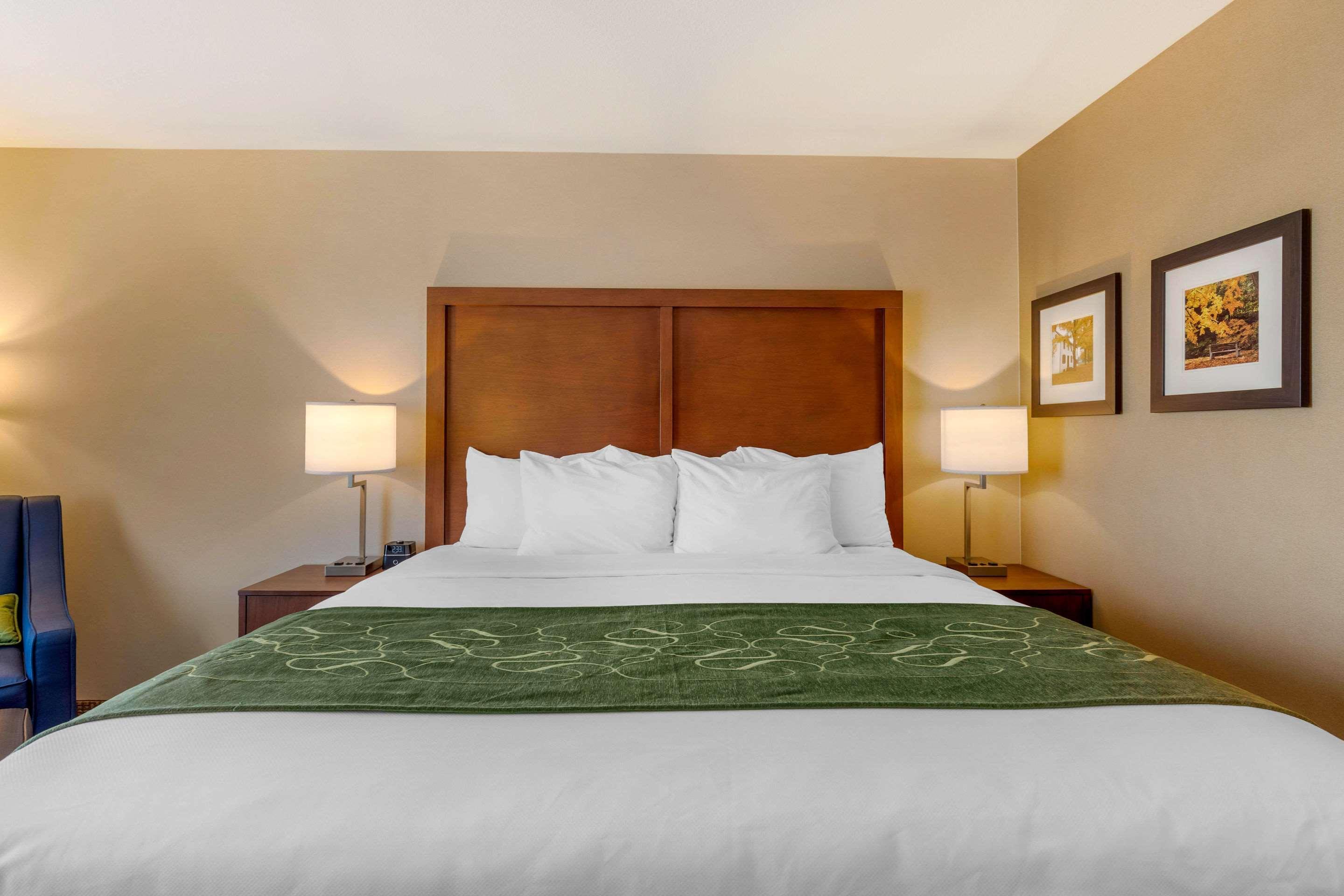 Comfort Inn & Suites Schenectady - Scotia Extérieur photo