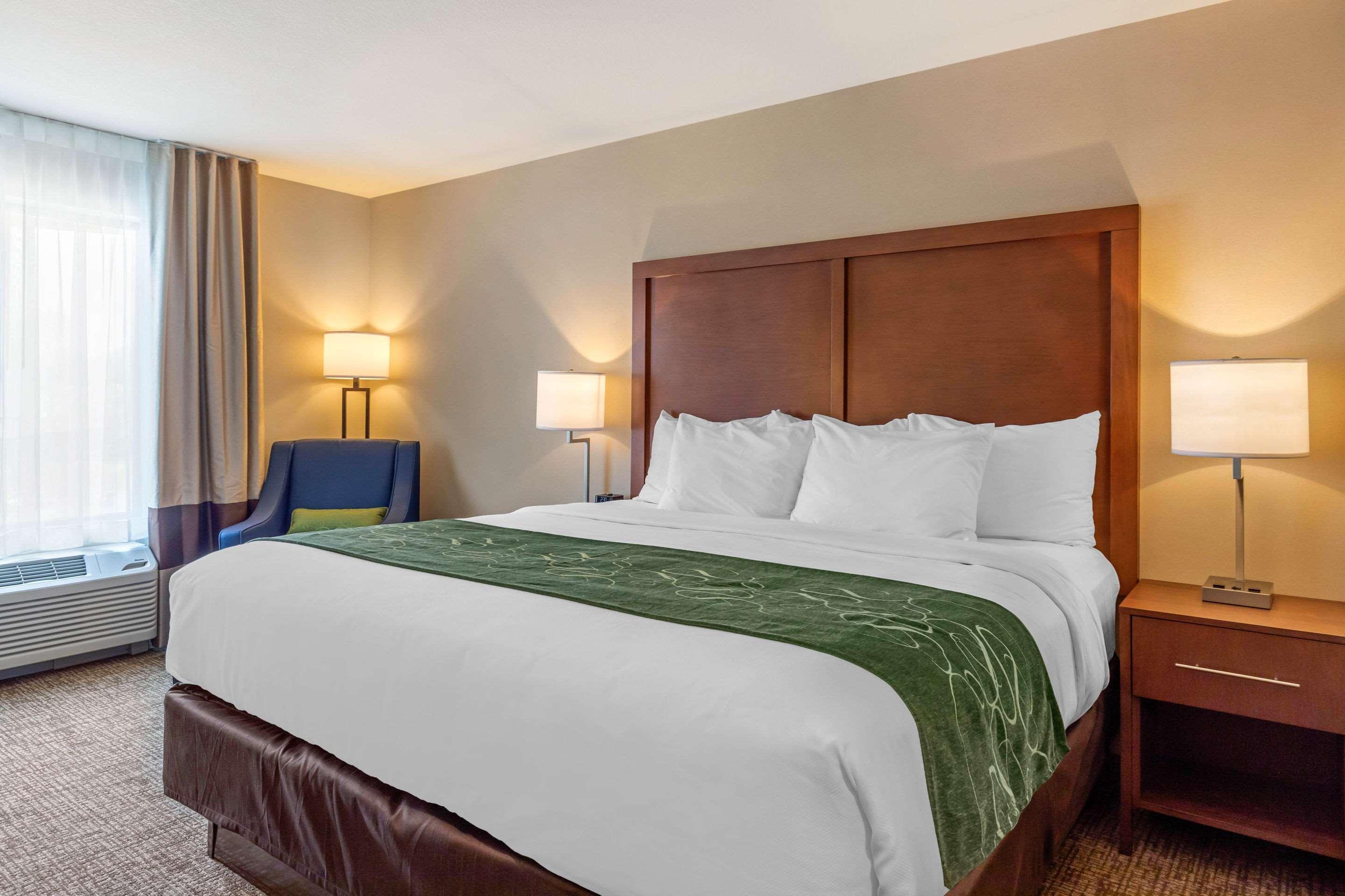 Comfort Inn & Suites Schenectady - Scotia Extérieur photo