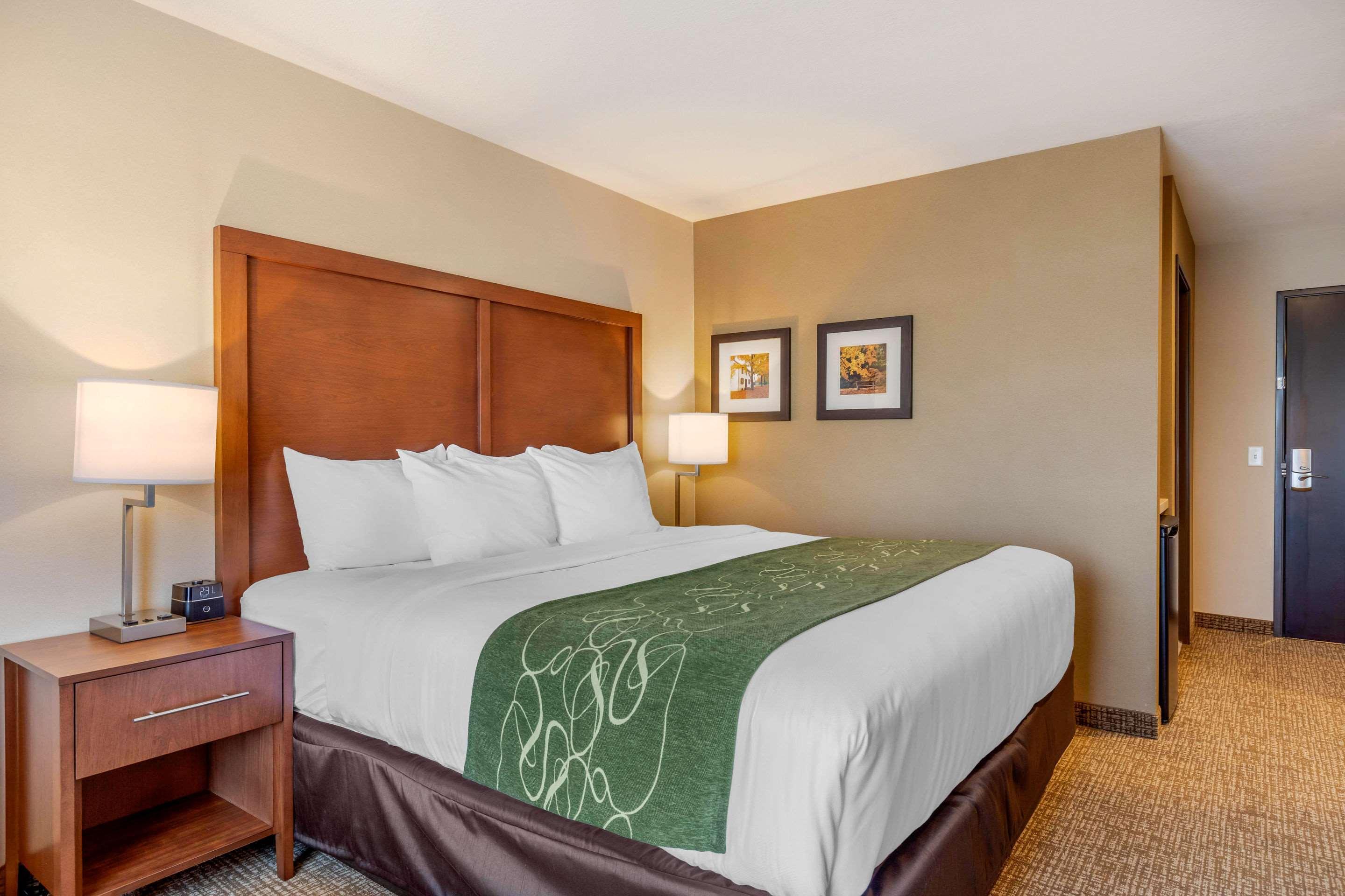 Comfort Inn & Suites Schenectady - Scotia Extérieur photo