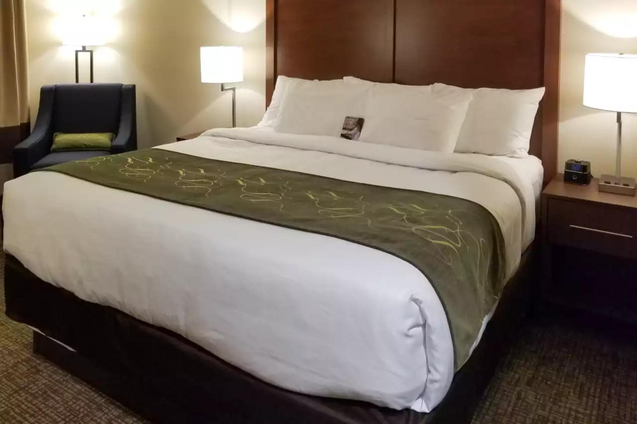 Comfort Inn & Suites Schenectady - Scotia Extérieur photo