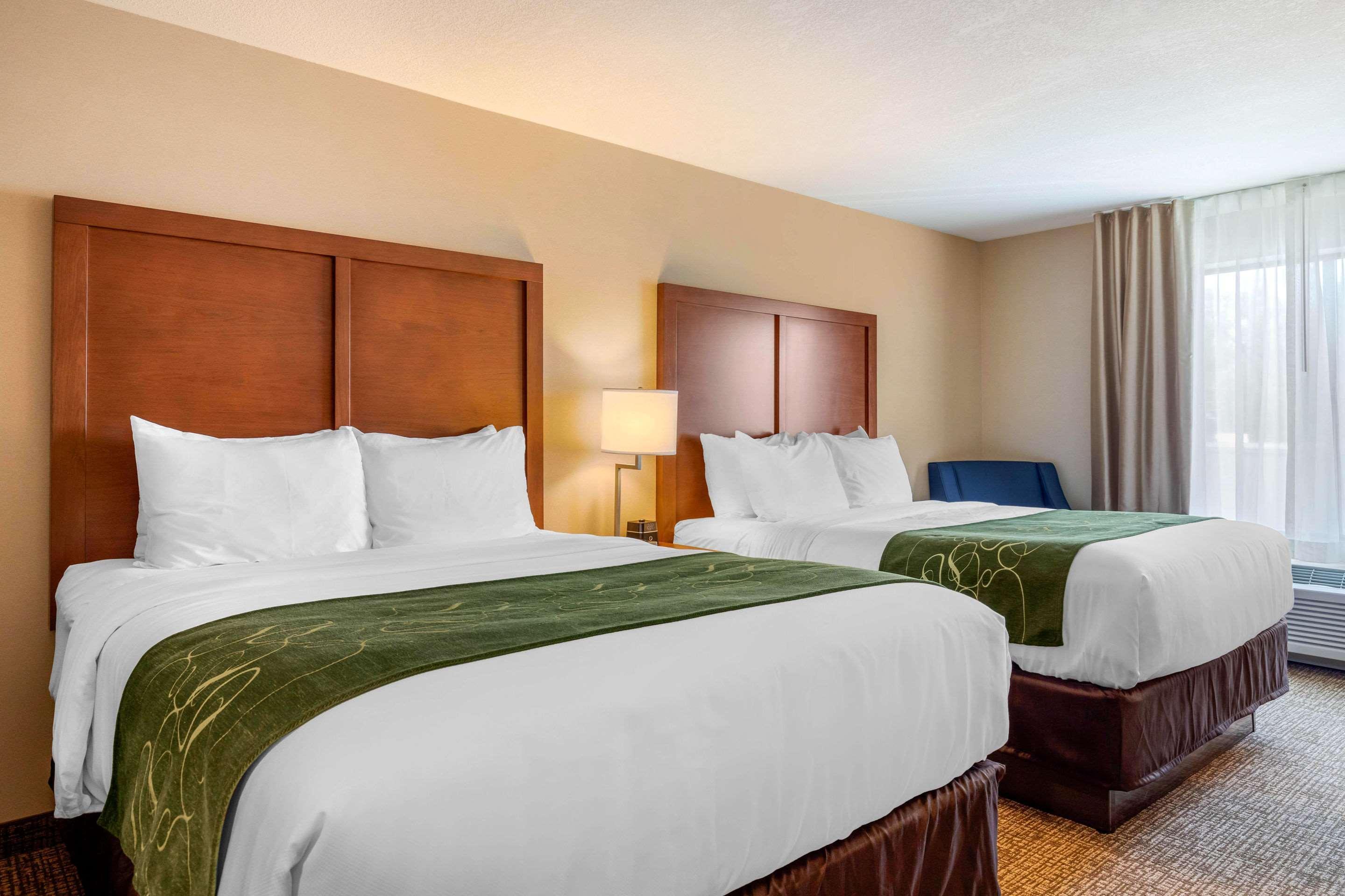 Comfort Inn & Suites Schenectady - Scotia Extérieur photo