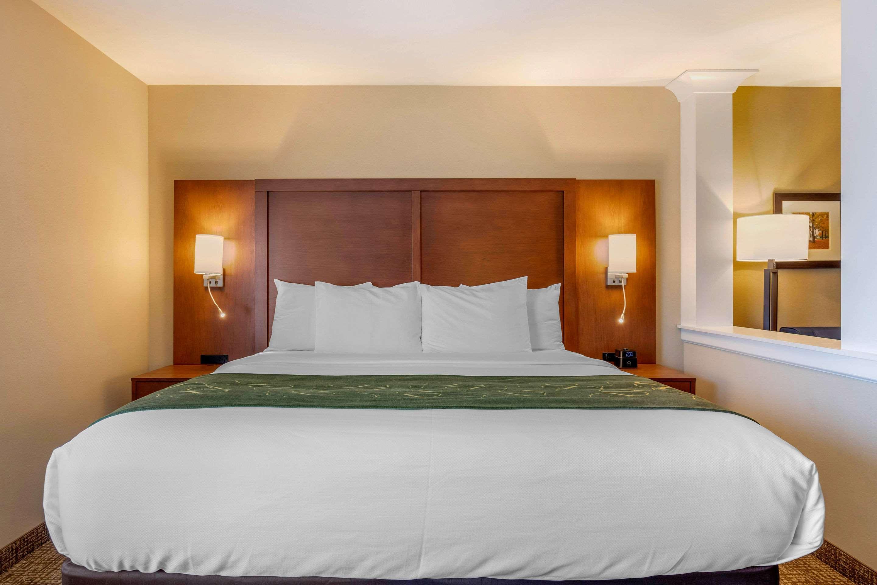 Comfort Inn & Suites Schenectady - Scotia Extérieur photo