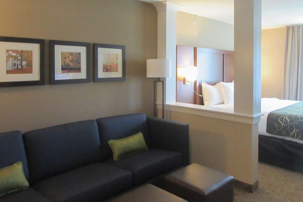 Comfort Inn & Suites Schenectady - Scotia Chambre photo